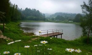 indahnya-sepanjang-jalan-berliku-menuju-desa-wisata-ranupane-trco