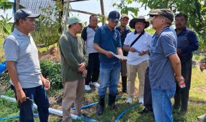 akademi-buah-nusantara-abn-siapkan-lahan-50-hektare-untuk-praktik-mahasiswa
