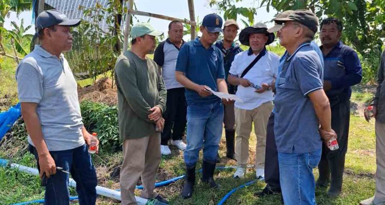 akademi-buah-nusantara-abn-siapkan-lahan-50-hektare-untuk-praktik-mahasiswa