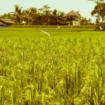 gudang-rezeki-allah-tidak-pernah-kosong-doa-dan-kesabaran-kunci-dikabulkan