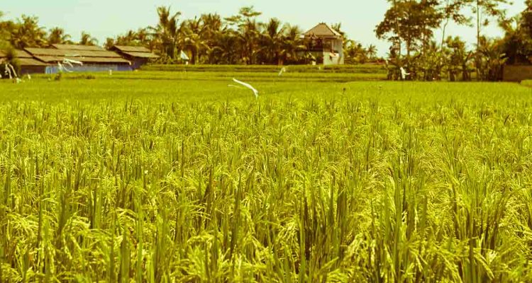 gudang-rezeki-allah-tidak-pernah-kosong-doa-dan-kesabaran-kunci-dikabulkan