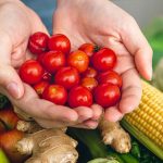 ketahanan-pangan-lumajang-2025-tren-ikp-naik-tantangan-fsva-dan-strategi-penguatan