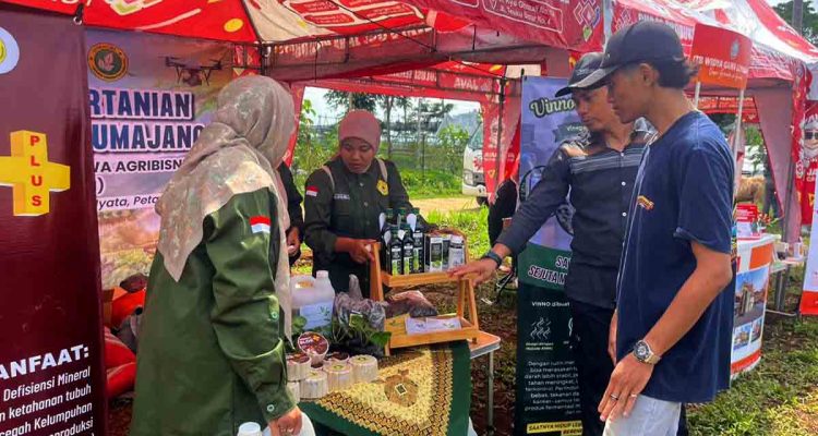 mahasiswa-agribisnis-unilu-tunjukkan-inovasi-pertanian-organik-di-kontes-domba-bupati-cup-lumajang-2025-trco