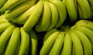 pisang-lumajang-komoditas-unggulan-jawa-timur-yang-tembus-pasar-ekspor-dunia