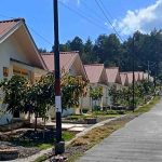 hidup-di-bawah-bayangan-semeru-pilih-lahan-subur-yang-berbahaya-atau-hidup-aman-yang-sulit