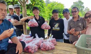 kopasanda-rayakan-kebersamaan-dengan-petik-jambu-citra-sepuasnya-trco