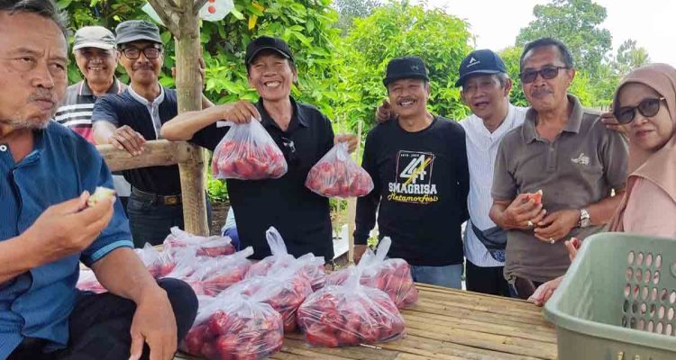 kopasanda-rayakan-kebersamaan-dengan-petik-jambu-citra-sepuasnya-trco