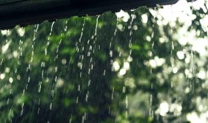 inspirasi-di-tengah-hujan-akhir-tahun-pelajaran-kesabaran-keadilan-dan-kesegaran-hati