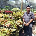 bisnis-bunga-melayani-permintaan-konsumen-seantero-negeri-trco