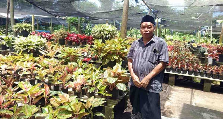 bisnis-bunga-melayani-permintaan-konsumen-seantero-negeri-trco