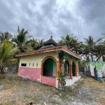 pantai-selatan-tempursari-sisa-abrasi-yang-mengesankan